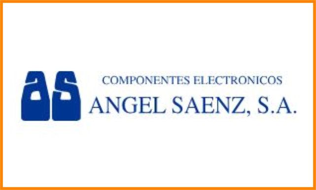 angel saenz web Oiartzungo Udala